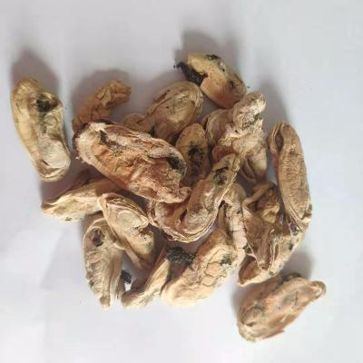 China Freeze Dried Scallop Viable in Shell Cat Food for sale