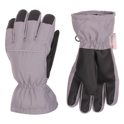 China 3M Thinsulate Lining Heated Winter Hand Gloves Full Finger Ski Gloves Ski Gloves for sale