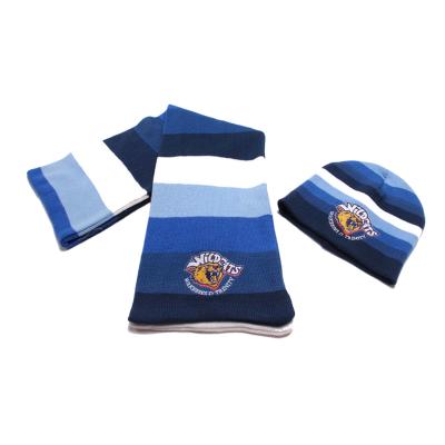 China High Quality Hot Promotional Fast Delivery Mens Winter Embroidery Logo World Cup Custom Football Fans Hat And Scarf Set for sale