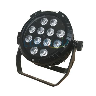 China Hotel Control Led Slim RGBW 4in1 12X10W LED Par Light Led Wall Washer Par Lights for sale