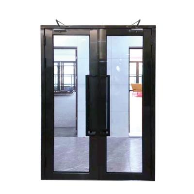 China Fire prevention New Fashion Design Hot Selling Flat Frame/flat Lace Lace Shape 60 Glass Fire Door Price for sale