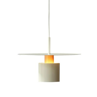 China modern home decor with light fixtures for living room lighting decoration led pendant light for sale