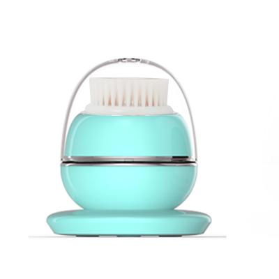 China Factory Wholesale Other 2022 USB Rechargeable Mini Electric Sonic Facial Cleansing Brush, Beauty Instrument for sale