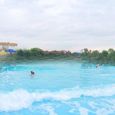 China International Standard Swim Wave Pool Water Park Design Customized for sale