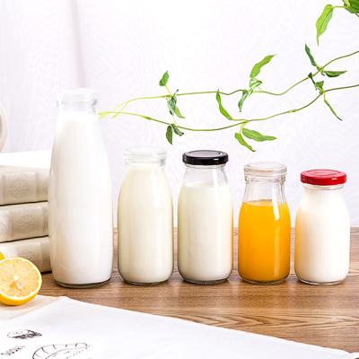 China High Quality 12oz 16oz Round Beverage Bottles Glass Milk Bottle With Plastic Lid for sale