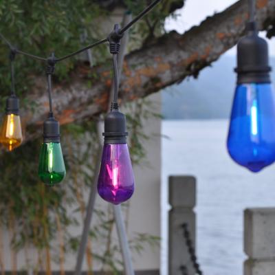 China Glass Bulb ST57 Low Voltage Multicolor Connectable String Lights Outdoor Party Decoration Light 10L for sale