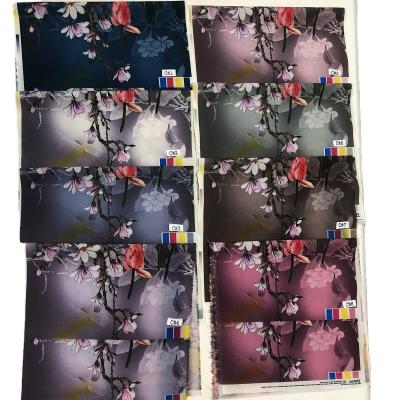 China Pretty Design Anti-Static 100% Polyester Paper Digital Printing Fabric For Women Dress for sale