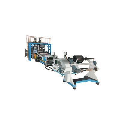 China One set of equipment can complete one full pet sheet Wholesale High Quality maker process twin screw extrusion line for sale