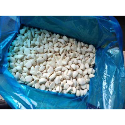 China Hot Sale Manufacturers Dry Natural Organic Frozen Garlic Segments for sale