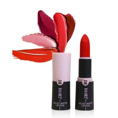 China DR RASHEL Colorful Waterproof Hot Selling Matte Lipstick Long Lasting Velvet for sale