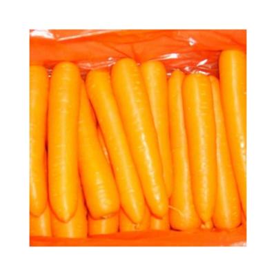 China 2022 Fresh Carrot Online Wholesale Supplier Seeds Red Carrot for sale