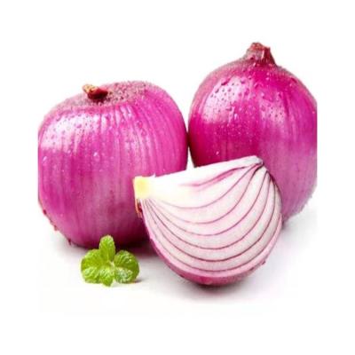 China Wholesale Online Yellow Dry Onions Bulk Fresh Onion for sale