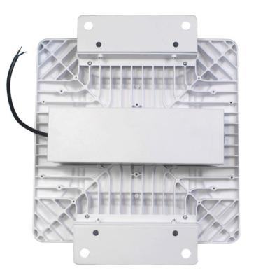 China Hotel High Power 100W IP65 Outdoor Waterproof Led Light Gas Station for sale