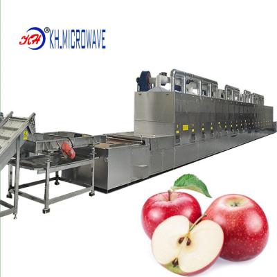 China Dry Apple Food Processing French Fries With Microwave Industrial Belt Dryer Machine for sale