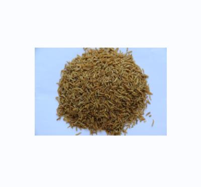 China Pet food factory direct sales pellet bird food fly larvae accept OEM pet food for sale