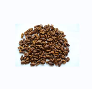 China Bird Food Accept Up To Date OEM Microwave Dried Silkworm Pet Food Without Additives for sale