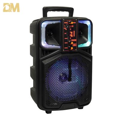 China Digita Dolby Professional Portable Mini Subwoofer 8 Inch Powerful Speaker with Microphone Trolley Speaker for sale