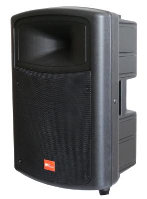 China 15 Inch speaker with 2.5