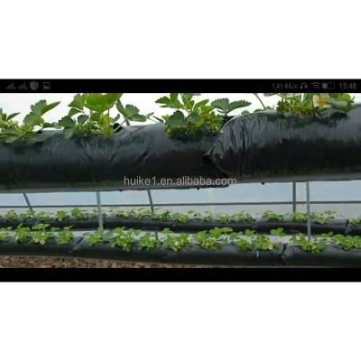 China Economic Soft Fruit Croissant Use Natural Cocos Peat Grow Bags For Strawberry for sale