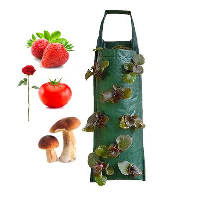 China PE Strawberry Plant Bag PE Vertical Hanging Plant Bag Stereo Strawberry Plant Grow Bags for sale