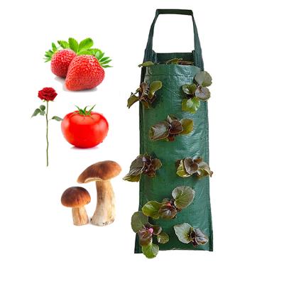 China PE Wall Hanging Mount Seedling Bags Scatter To Grow Sack Mushroom Bags for sale