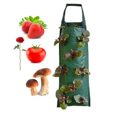 China PE Wall Hanging Mount Seedling Bags Scatter To Grow Sack Mushroom Bags for sale