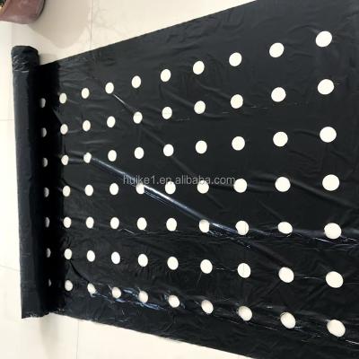 China 100% New Opaque Design Perforated Silver Black Plastic Mulch Film for sale