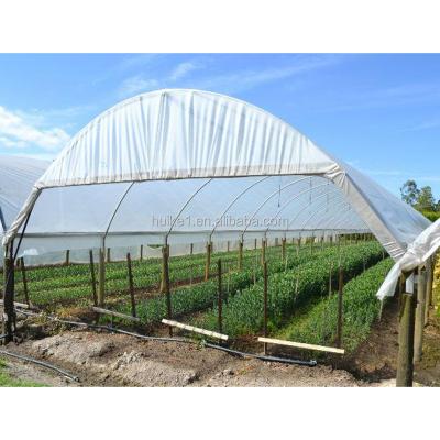 China 100% Opaque Large Size Agricultural Greenhouse Film For Building Agricultural Greenhouse for sale