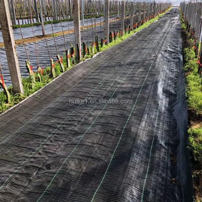 China Agricultural or garden used for carpet/weed weed barrier fabric /dust control ground cover/mat and weed ground cover for sale