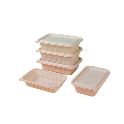 China Disposable Lunch Box Biodegradable Microwave Food Packaging Disposable Food Container With Lid for sale