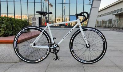 China 26 classic bike / OEM Single Speed Steel Fixed Gear Bikes With Disc Brake for sale