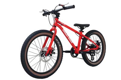 中国 20インチ キッズ カーボンファイバー Mtb バイク 21 スピード ケーブル プル ディスク ブレーキ クロスカントリー 販売のため