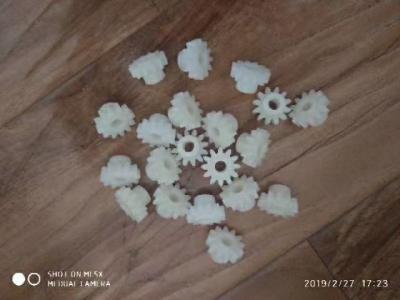 China Doli Minilab Spare Part Gear 12 Teeth for sale