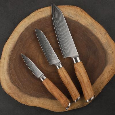 China New Popular 3 PCS Olive Wood Stocked vg10 Damascus Steel Knife Set for sale