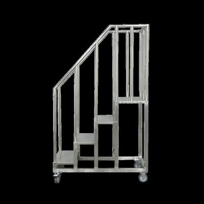 China Factory Sustainable Professional Stainless Steel Climbing Ladder for sale