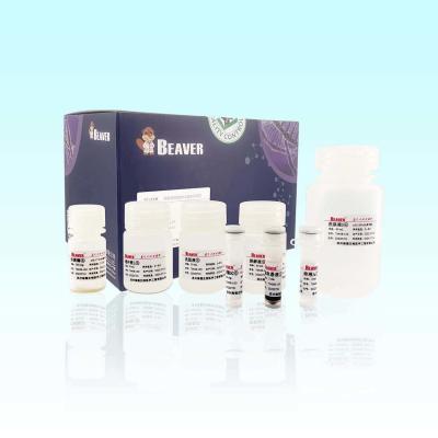 China Blood RNA Kit Extract Total RNA From Anticoagulant Whole Blood Samples en venta