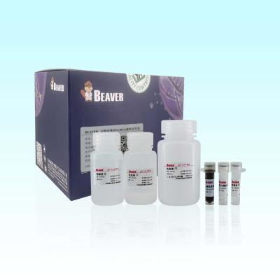 China ARN viral animal Kit For Scientific Research de la DNA de 20 Rxns BeaverBeads en venta