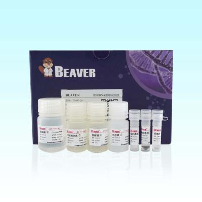 Κίνα Εξάρτηση 20 DNA ιστού BeaverBeads υψηλή αγνότητα Rxns για την εξαγωγή προς πώληση