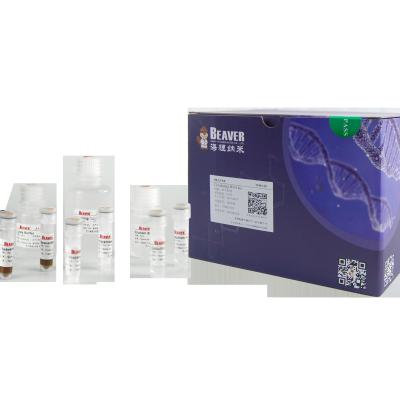 China BeaverBeads Circulating DNA Kit Single Sample Automatic Extraction en venta