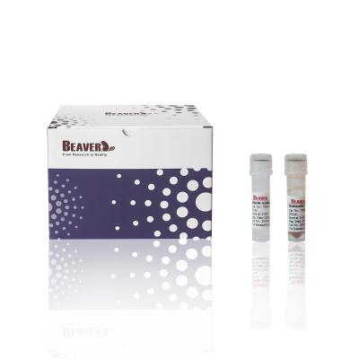 China 60 ml DNA-Isolierungs-Kit Reagents For Selecting DNA-Fragmente zu verkaufen