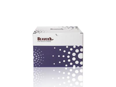 Κίνα BeaverBeads Blood RNA Extraction Kit With High Compatibility προς πώληση