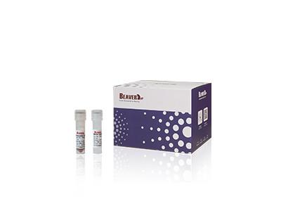 China ARN viral animal Kit For Scientific Research de la DNA de 20 Rxns BeaverBeads en venta