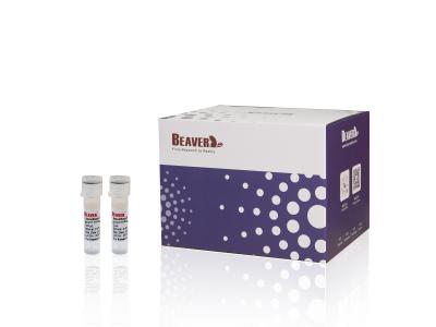 Cina Reagente di purificazione PCR per il recupero del DNA e la rimozione delle impurità dai prodotti PCR in vendita