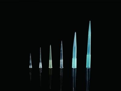 China In hohem Grade transparentes Polystyren 10 μL pipettieren Spitzen nicht Filtertüte zu verkaufen