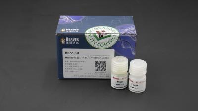 China purificación Kit For Genotyping de la polimerización en cadena del equipo de construcción de la biblioteca de la DNA 250ml en venta