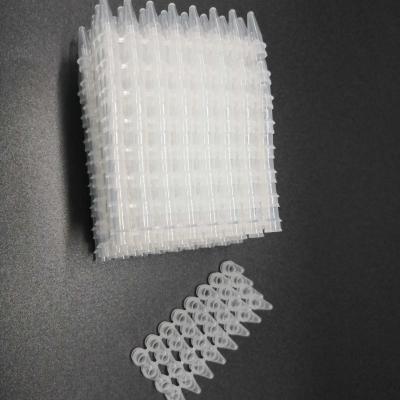 China 0.1mL Rohr-klare niedrige Rohr-medizinisches Laborverbrauchsmaterialien PCR 8-Strip keine Abdeckung zu verkaufen