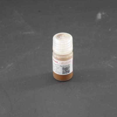 Chine perles magnétiques de 300nm Streptavidin pour Chemiluminescence10 mg/ml 10 ml à vendre