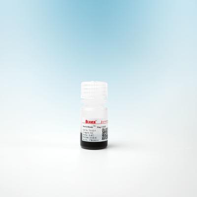 China Magnetit Polymer Karboxyl- Magbeads für Immunodiagnosis 2μm 10 mg/ml 5 ml zu verkaufen