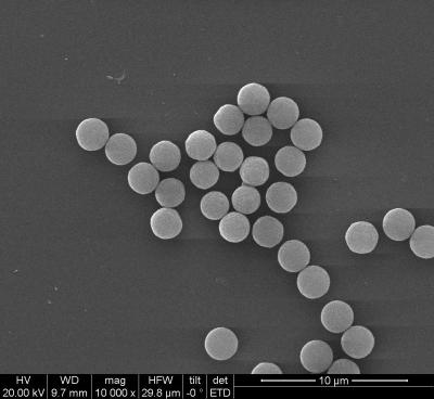 China Streptavidin SA Magbeads de 2μm para o magnésio/mL da quimioluminescência 10 1 mL à venda