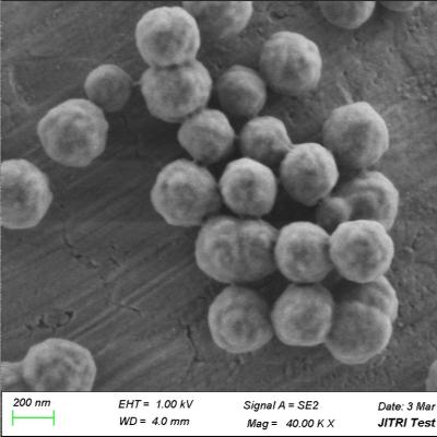 China Grânulos magnéticos do silicone magnetita para o magnésio/mL do PC 300nm 50 da extração do RNA 10 mL à venda